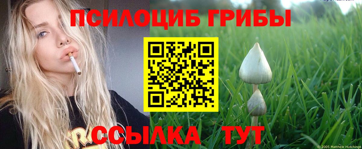 Галлюциногенные грибы Cubensis  Галлюциногенные грибы MAGIC MUSHROOMS  Прокопьевск  Вход с VPN 